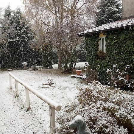 The Cottage San Maurizio D'opaglio 外观 照片