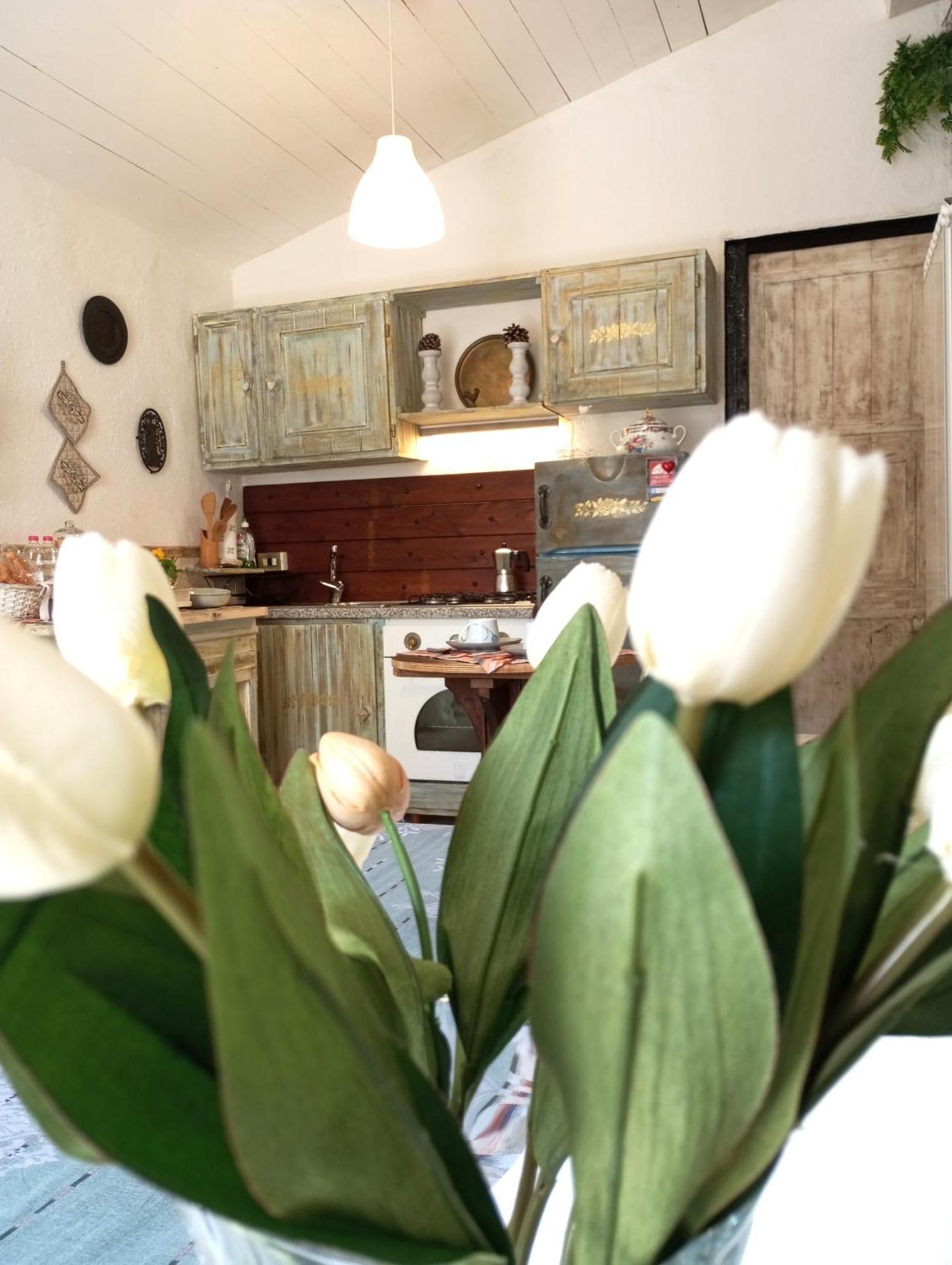 The Cottage San Maurizio D'opaglio 外观 照片